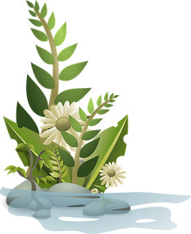 Vector Illustrationof Floral Composition PNG with transparent background