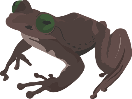Vector Illustrationof Frog PNG with transparent background