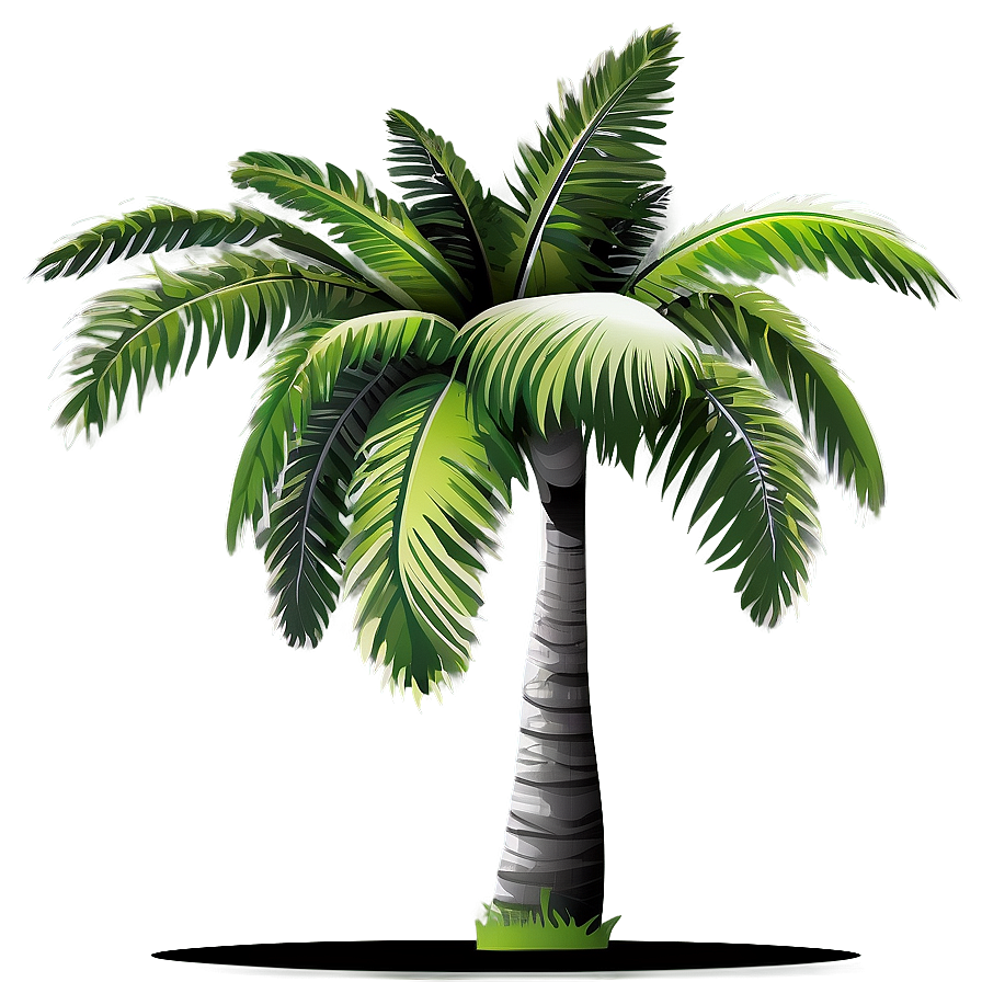 Vector Palm Tree PNG rud58 PNG with transparent background