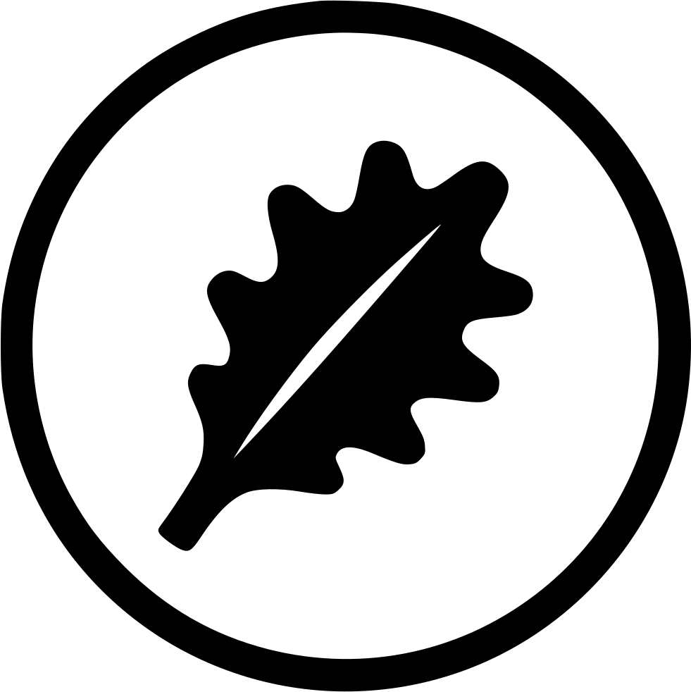 Vegan - Veganism, HD Png Download PNG with transparent background