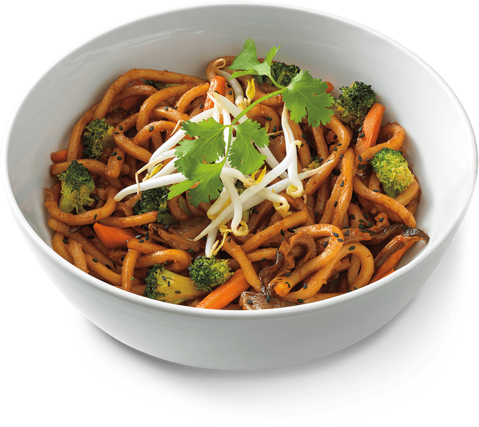 Vegetable Stir Fry Noodles