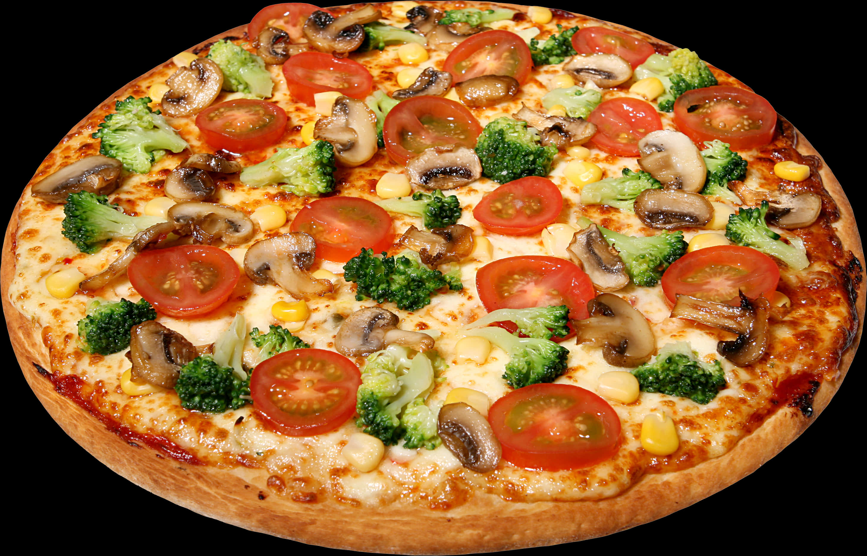 Vegetable Topped Pizza Delicious