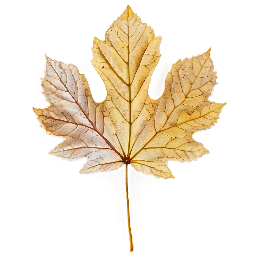 Veined Fall Leaf Png Usn15