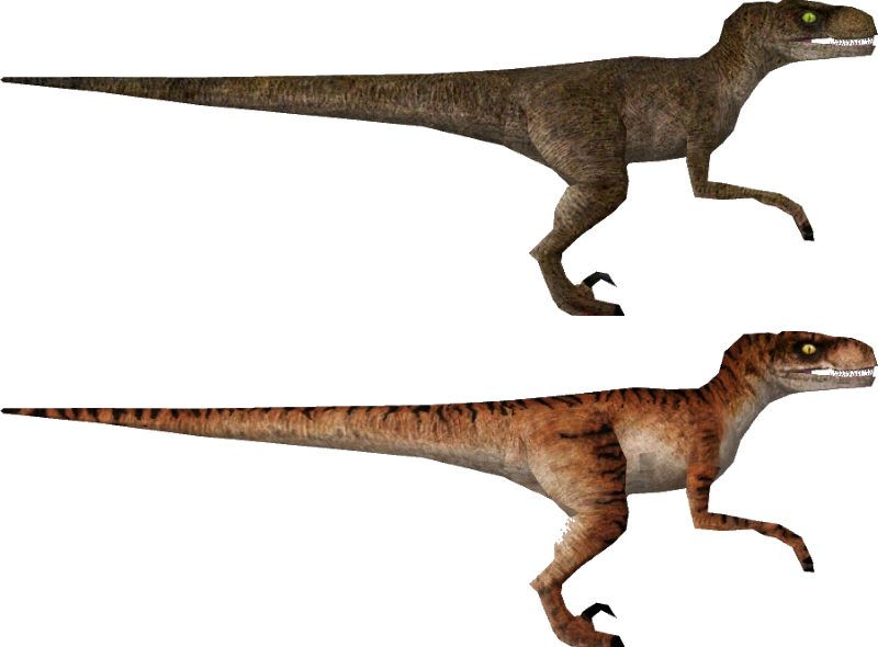 Velociraptor Duo Jurassic Park PNG with transparent background