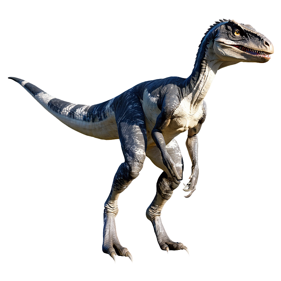 Velociraptor Environmental Adaptation Png Vud84