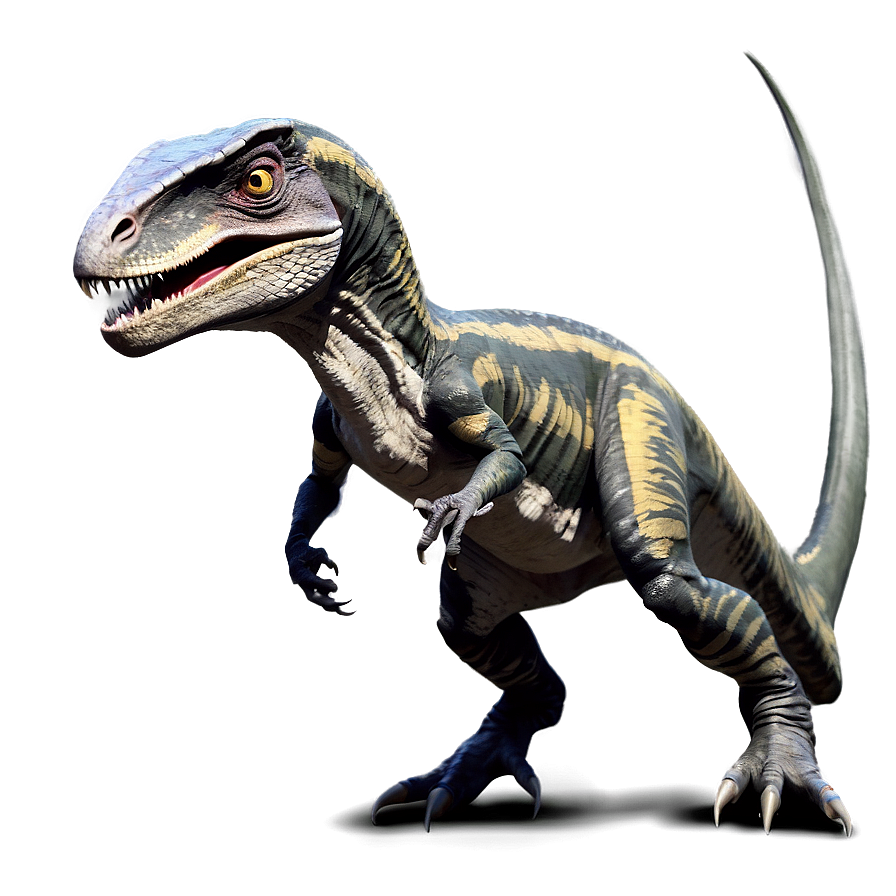 Velociraptor Evolution Theory Png Qxm47