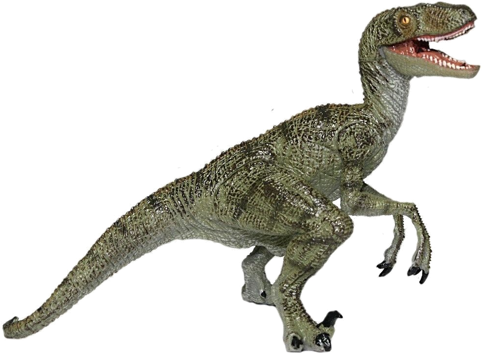 Velociraptor Illustration Jurassic Park PNG with transparent background