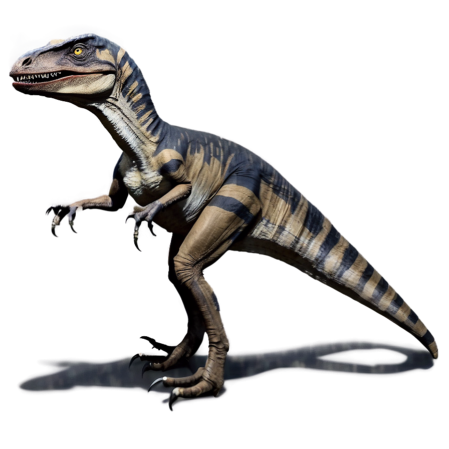 Velociraptor Social Behavior Png 1