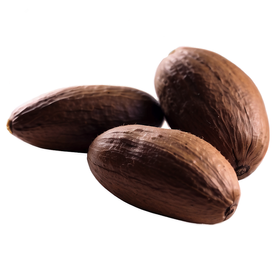 Velvet Tamarind Nut PNG ilu PNG with transparent background