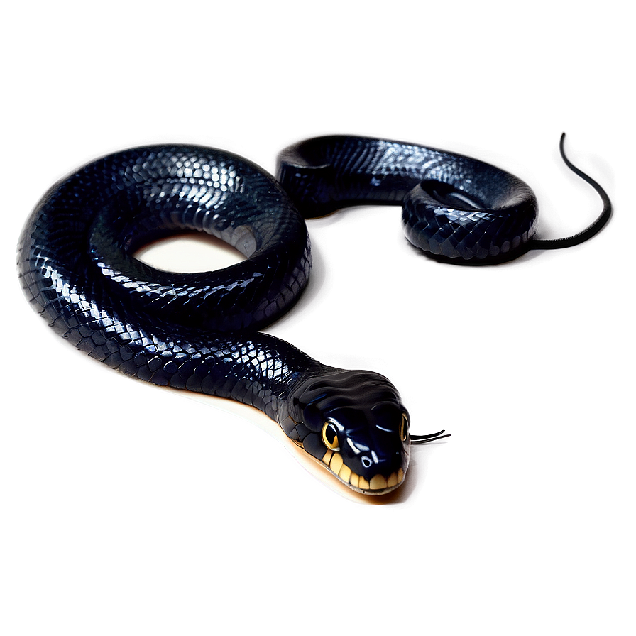 Venomous Black Snake Graphic Png Omg71