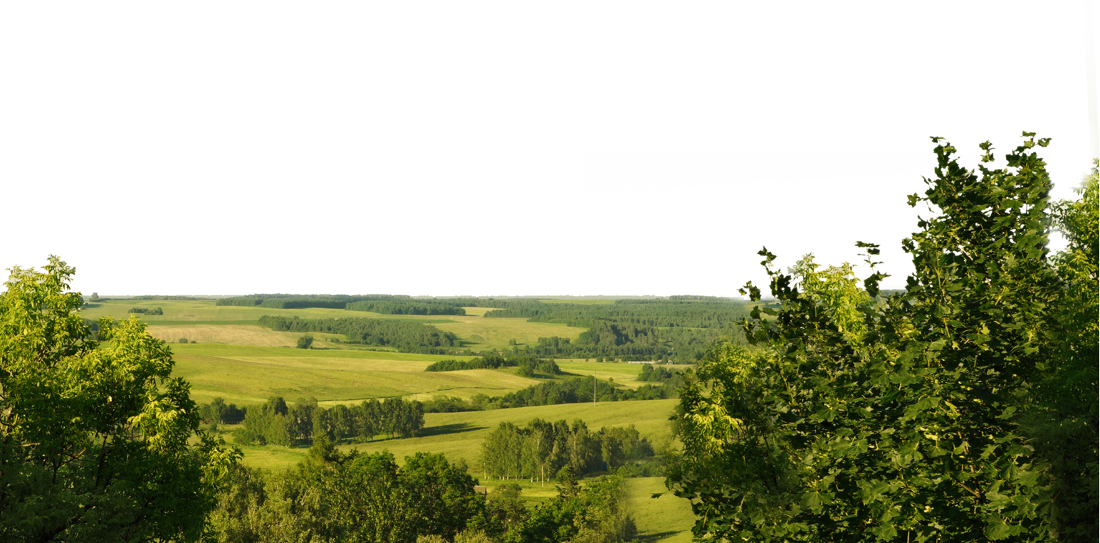 Verdant_ Rolling_ Hills_ Panorama PNG with transparent background