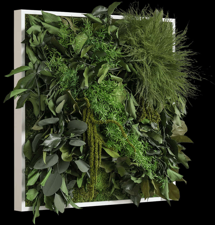 Jungle Plant Png - Jungle Plants Png, Transparent Png PNG with transparent background