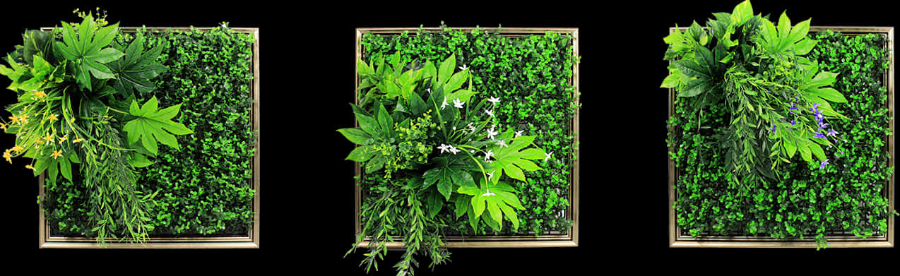 Vertical Garden Frames Triptych