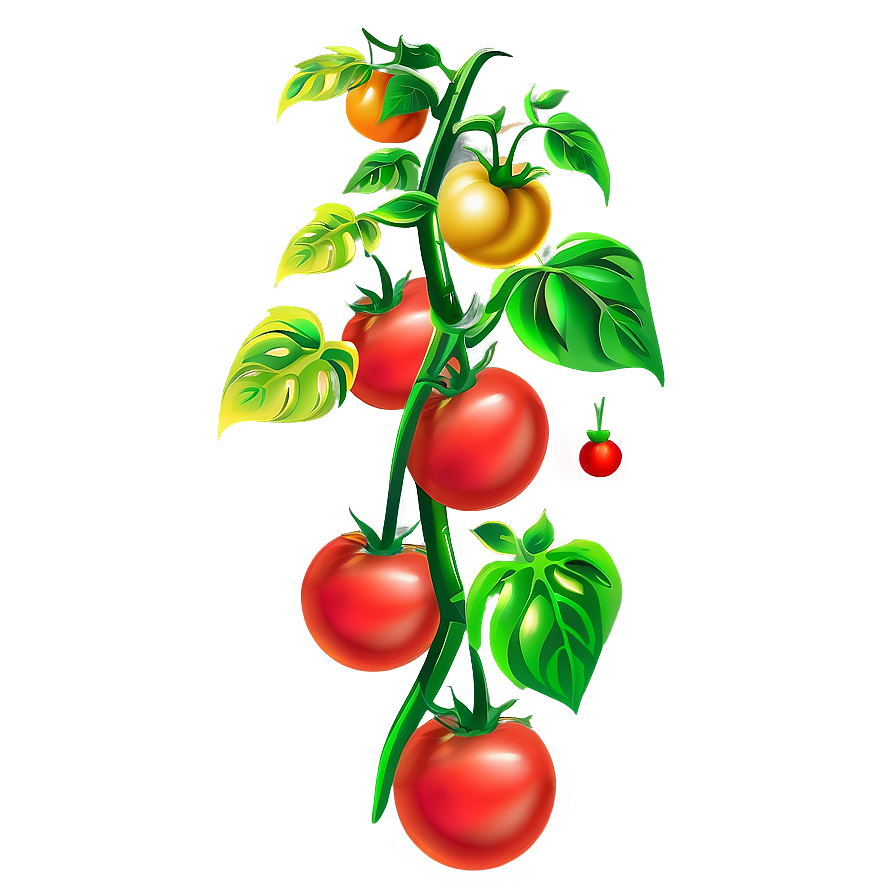 Vertical Tomato Plant Png 06212024