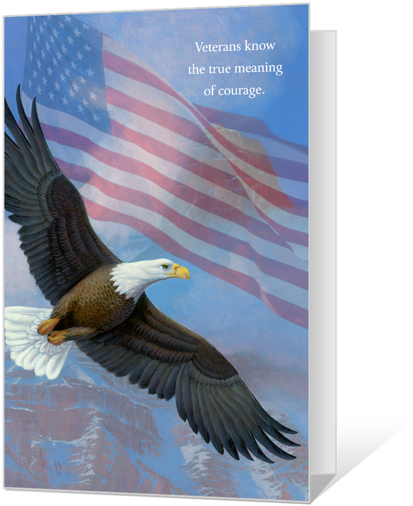 You Honor America - Thank You Veterans Eagle, HD Png Download PNG with transparent background