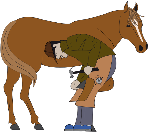 Veterinarian Checking Horse Health