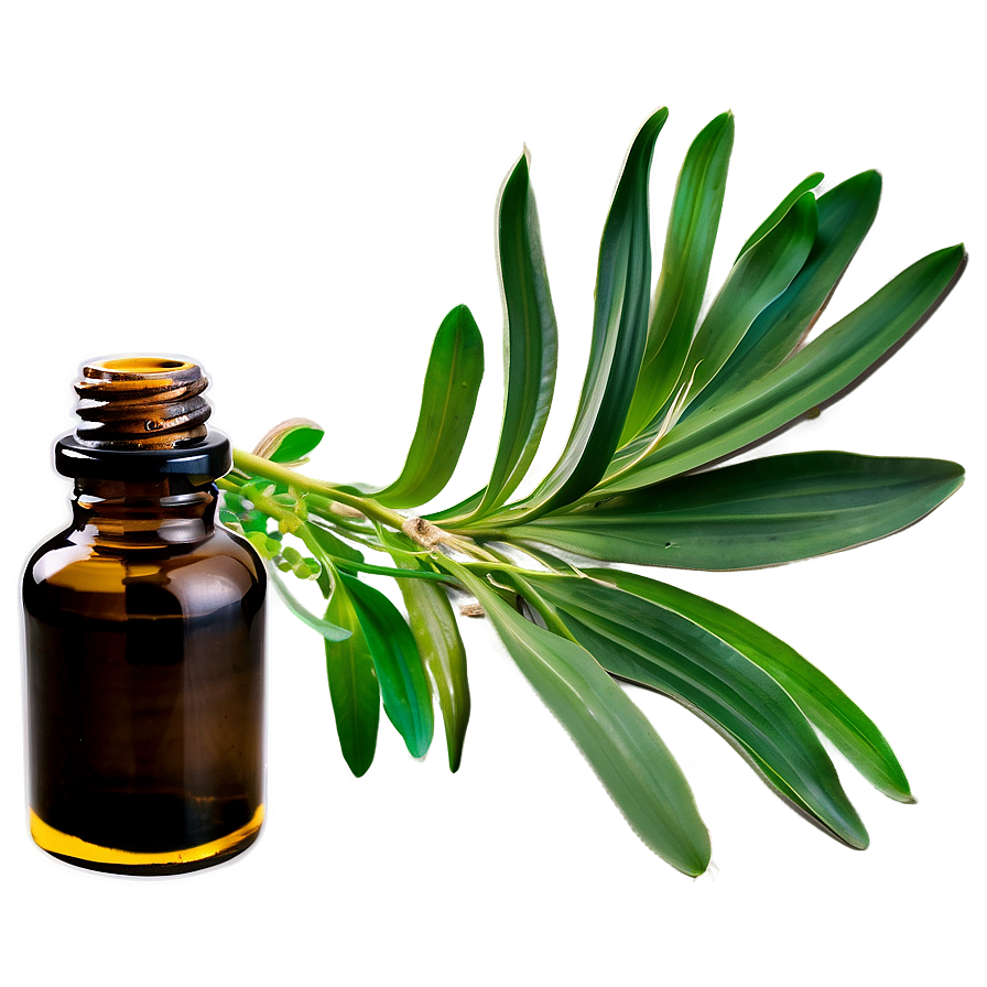 Vetiver Essential Oil Png Nlb13