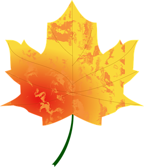 Vibrant Autumn Leaf PNG with transparent background