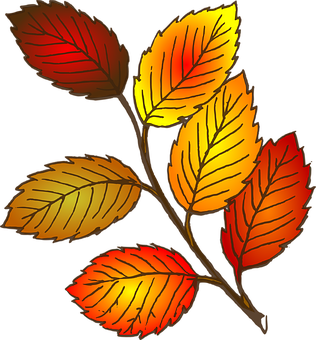 Vibrant Autumn Leaves Illustration PNG with transparent background