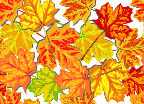 Vibrant Autumn Leaves Pattern.jpg PNG with transparent background