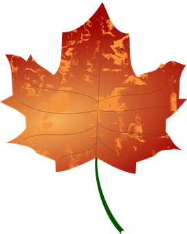Vibrant Autumn Maple Leaf PNG with transparent background