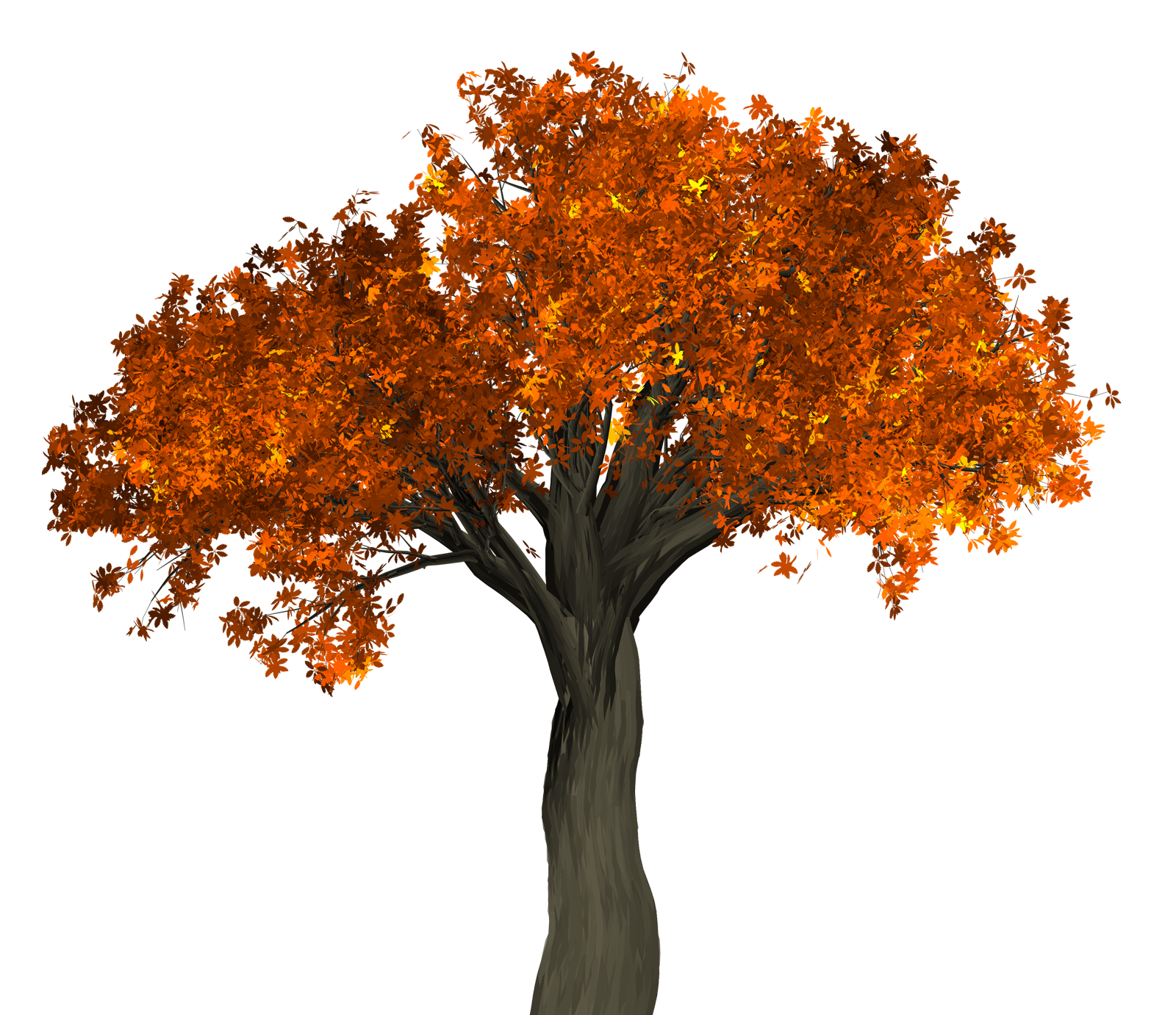 Vibrant Autumn Tree