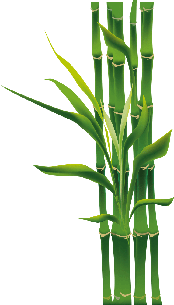 Vibrant Bamboo Greenery.png