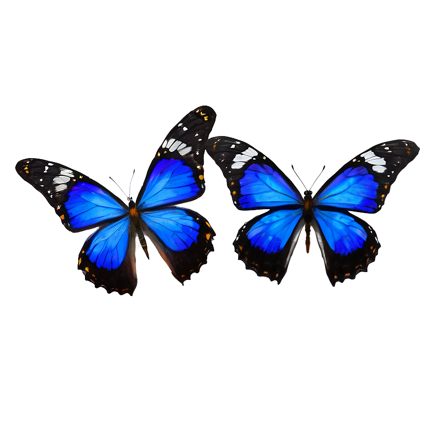 Vibrant Blue Butterflies Png 06132024