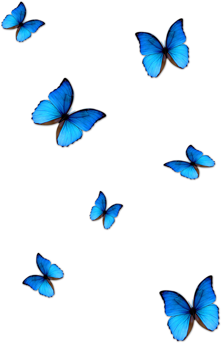 Vibrant Blue Butterflieson Grey PNG with transparent background