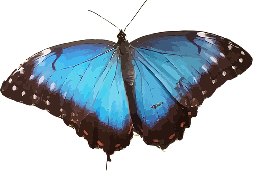 Vibrant Blue Butterfly Art