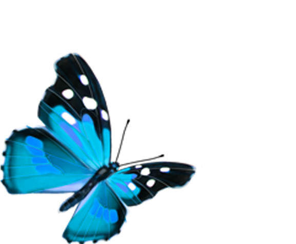 Vibrant Blue Butterfly Graphic PNG with transparent background