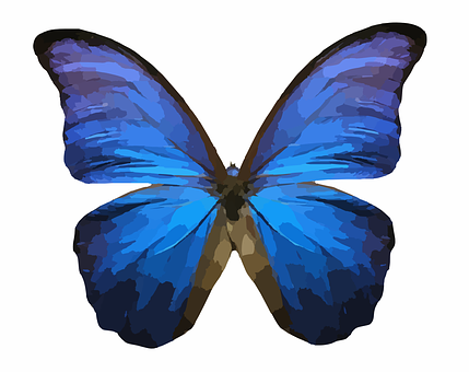 Vibrant Blue Butterfly Illustration PNG with transparent background