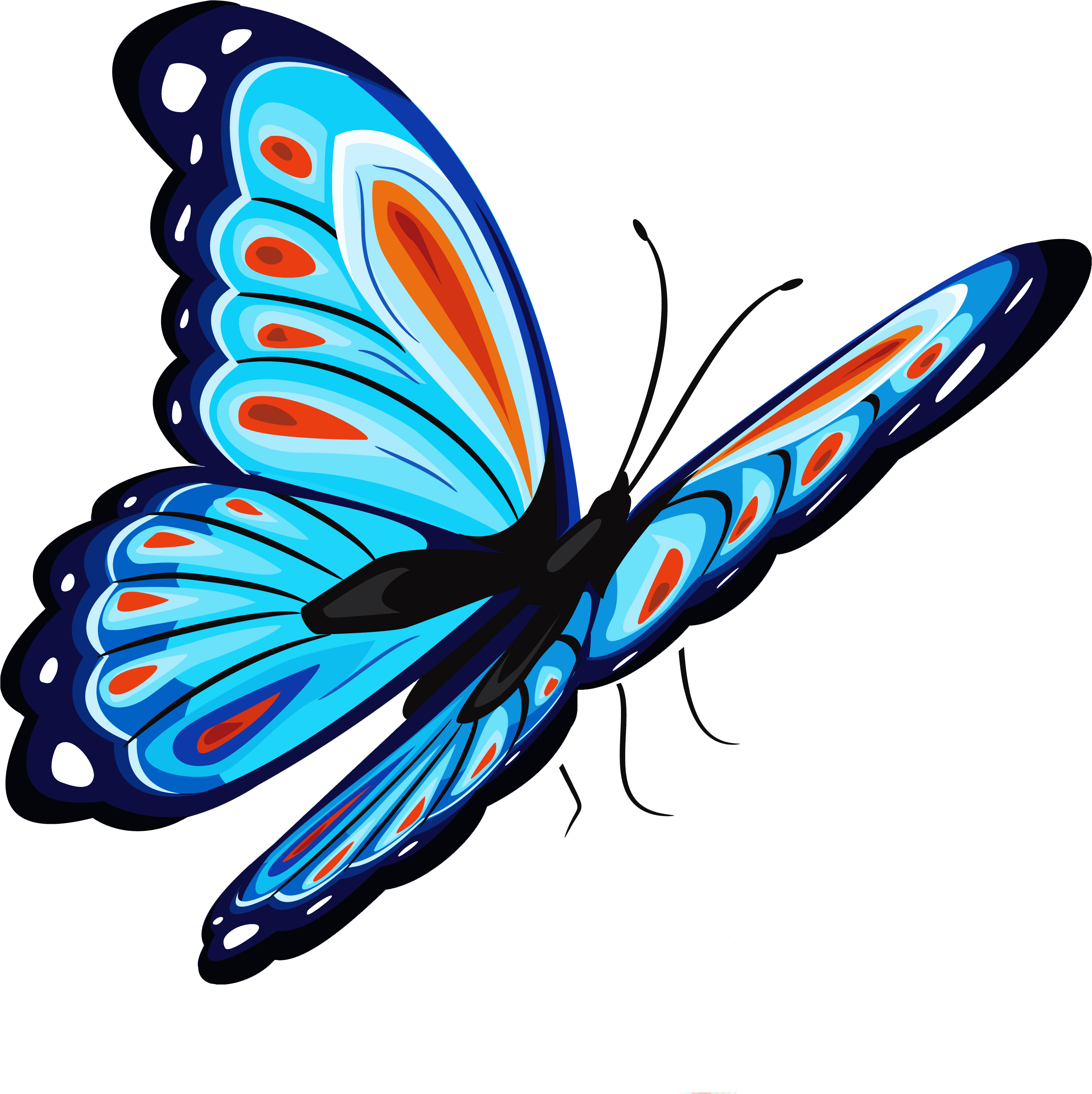 Vibrant Blue Butterfly Illustration PNG with transparent background