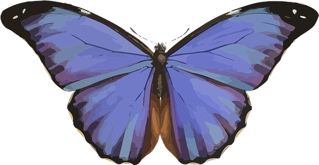 Vibrant_ Blue_ Butterfly_ Illustration