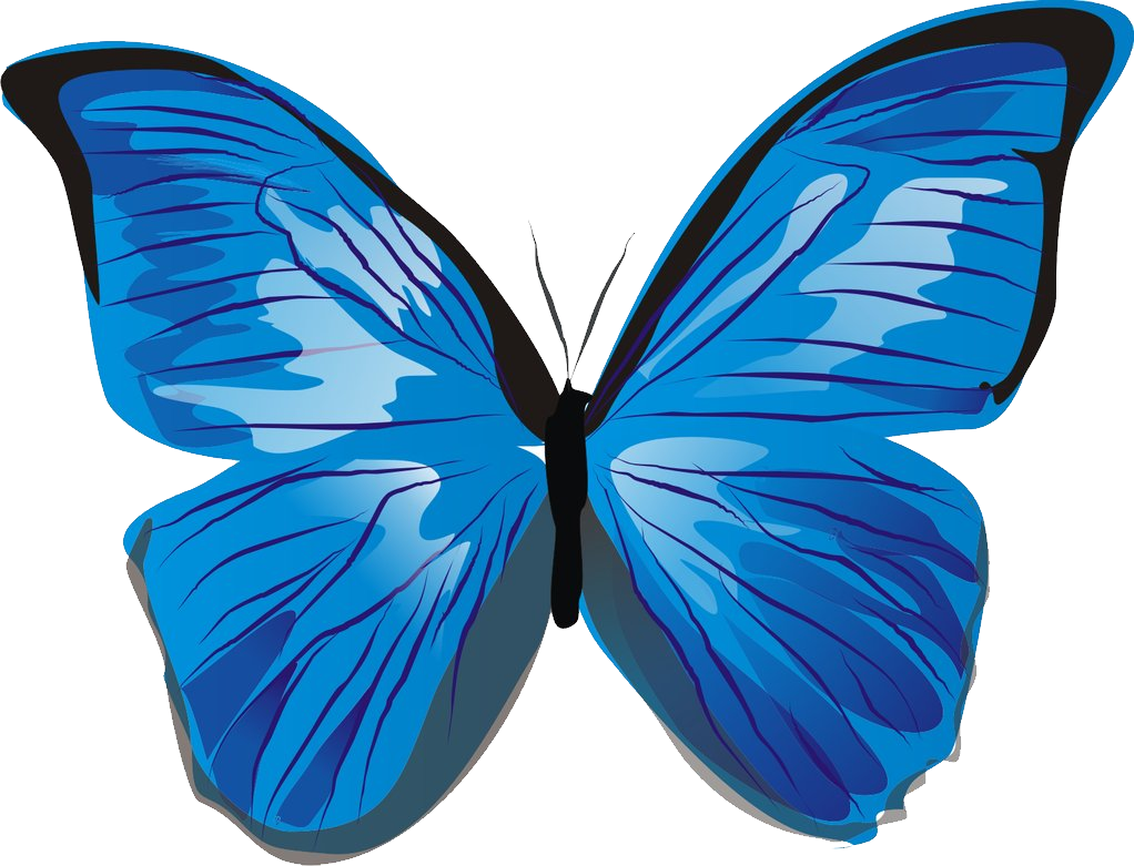 Vibrant Blue Butterfly Illustration PNG with transparent background