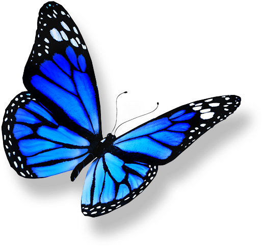 Vibrant Blue Butterfly PNG with transparent background