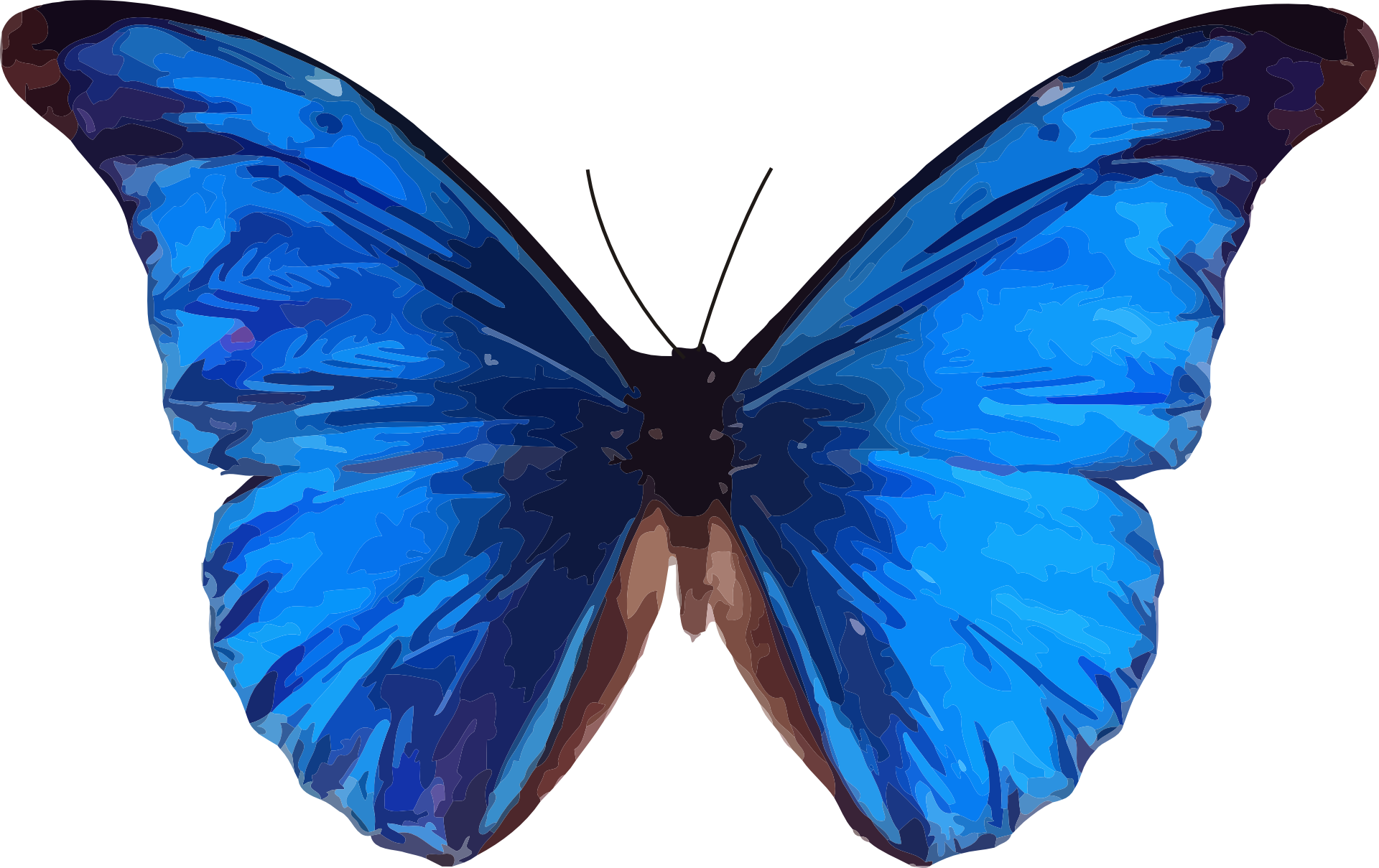 Vibrant_ Blue_ Butterfly_ Vector_ Art.png PNG with transparent background