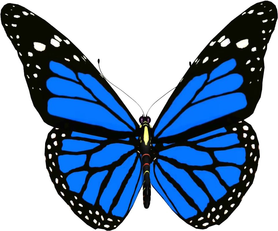 Vibrant Blue Butterfly.png PNG with transparent background