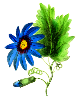 Vibrant Blue Flower Illustration PNG with transparent background