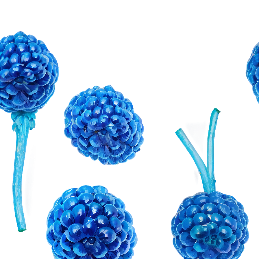 Vibrant Blue Raspberry Png 31