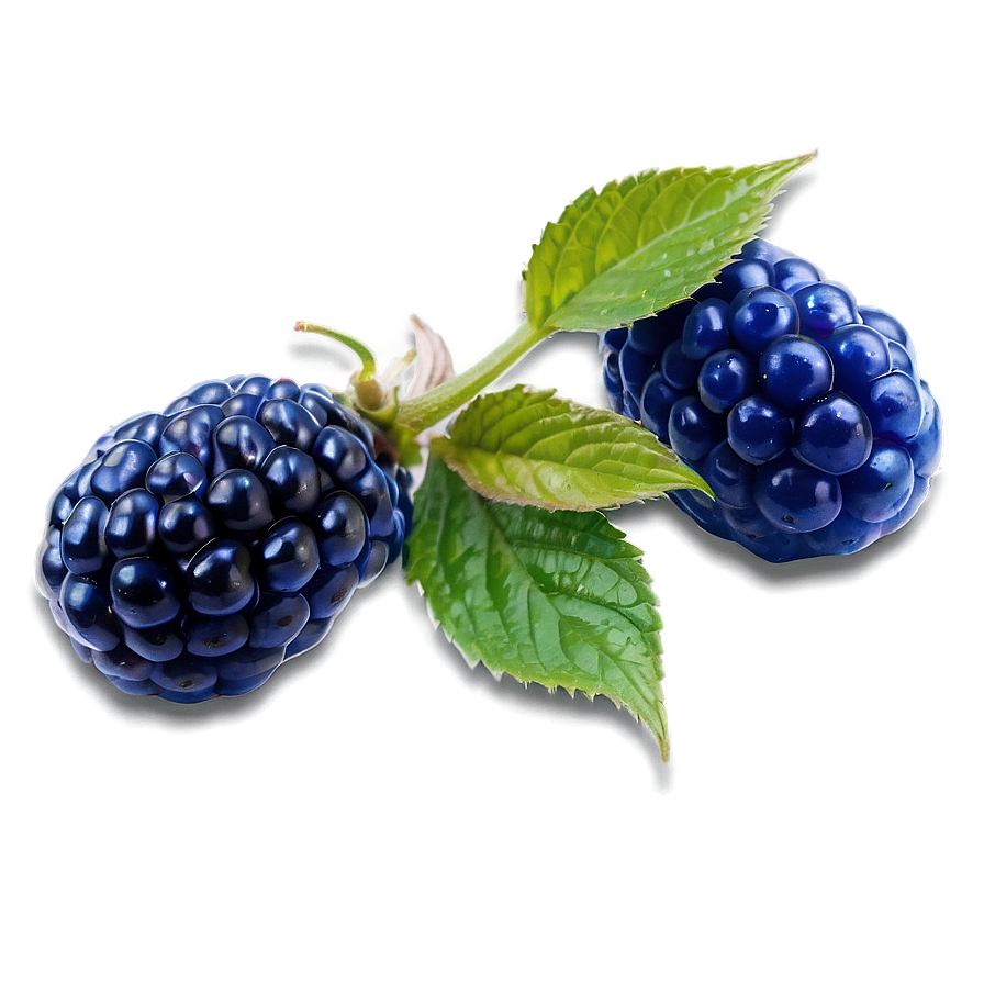 Vibrant Blue Raspberry PNG ass PNG image with a transparent background, free high-resolution download