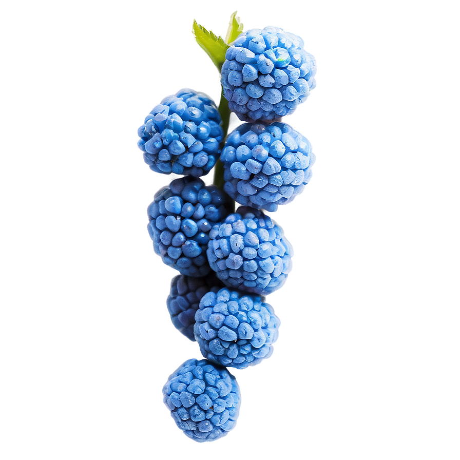 Vibrant Blue Raspberry PNG cas50 PNG image with a transparent background, free high-resolution download