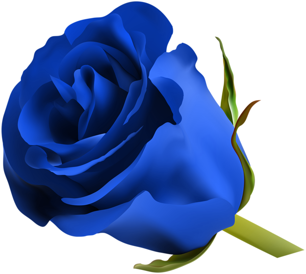 Vibrant Blue Rose Graphic