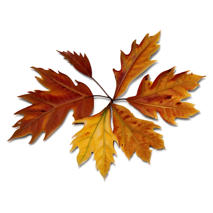 Vibrant Brown Fall Foliage Png Yjh