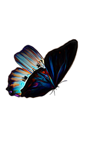 Vibrant Butterfly Artwork