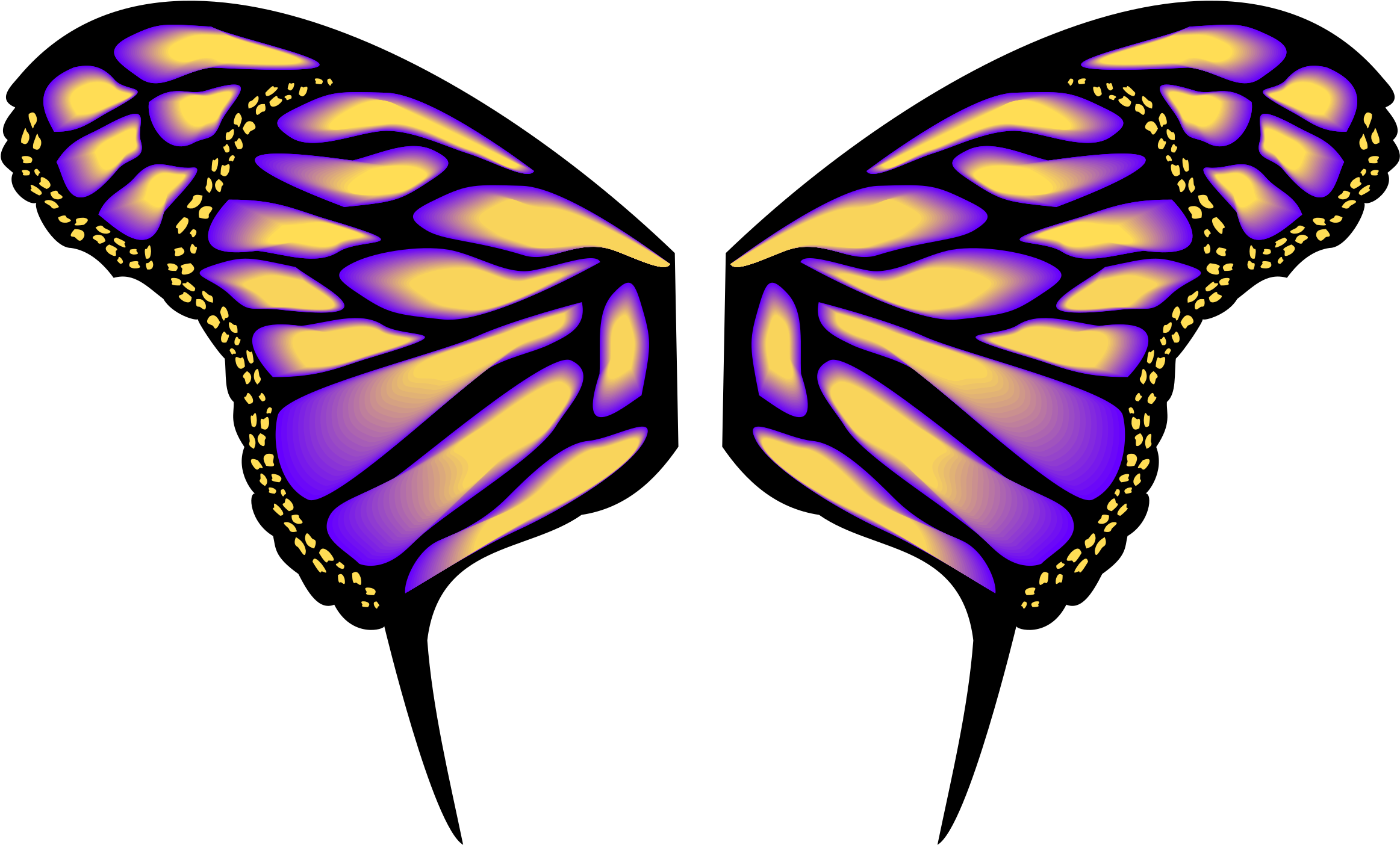 Vibrant Butterfly Wings Vector