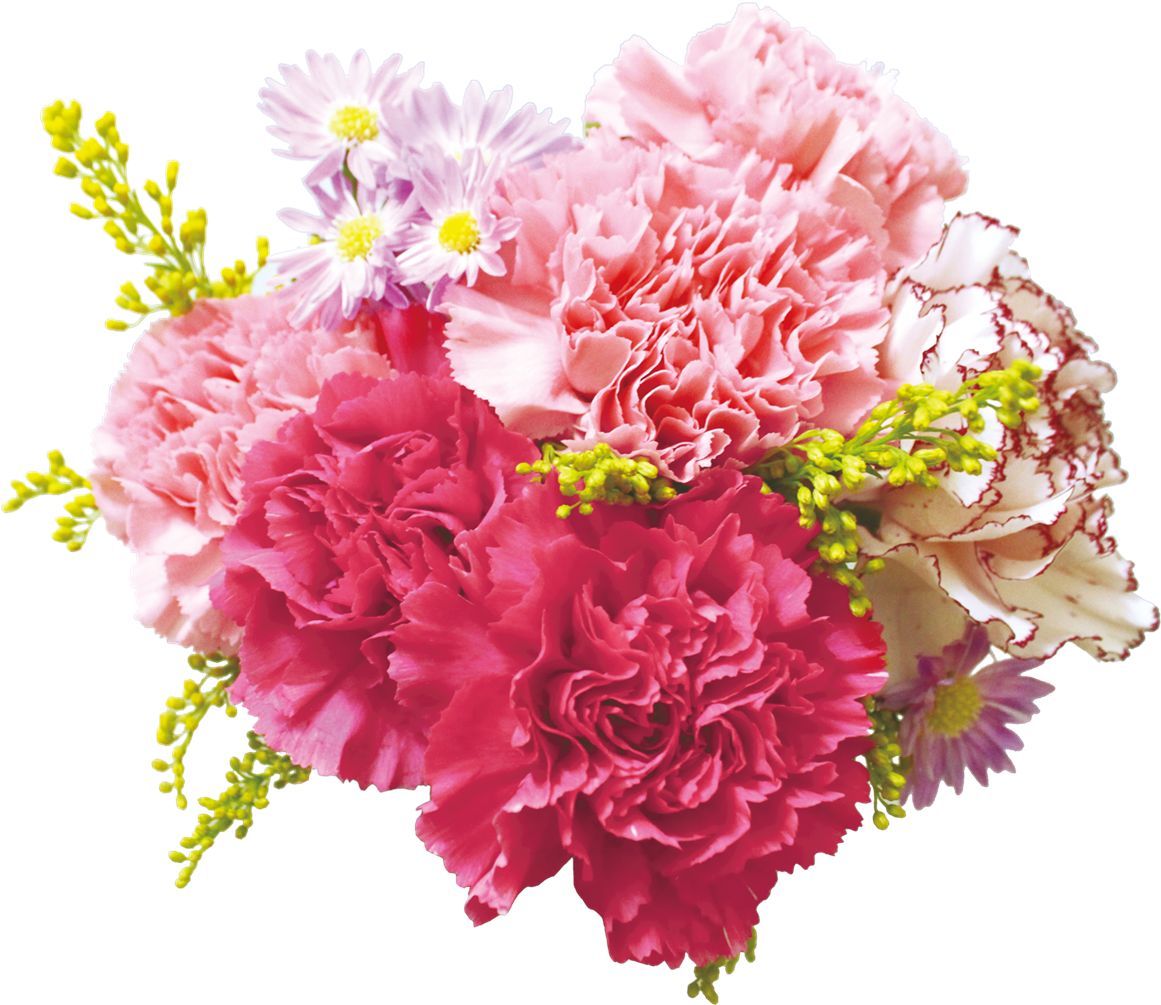 Vibrant Carnation Bouquet