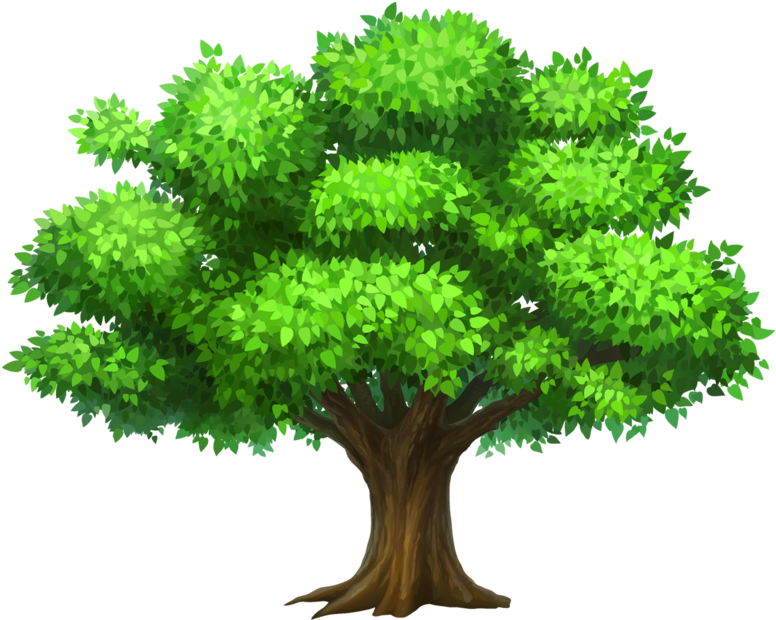Pin Rainforest Clipart Narra - Tree Clipart, HD Png Download PNG with transparent background