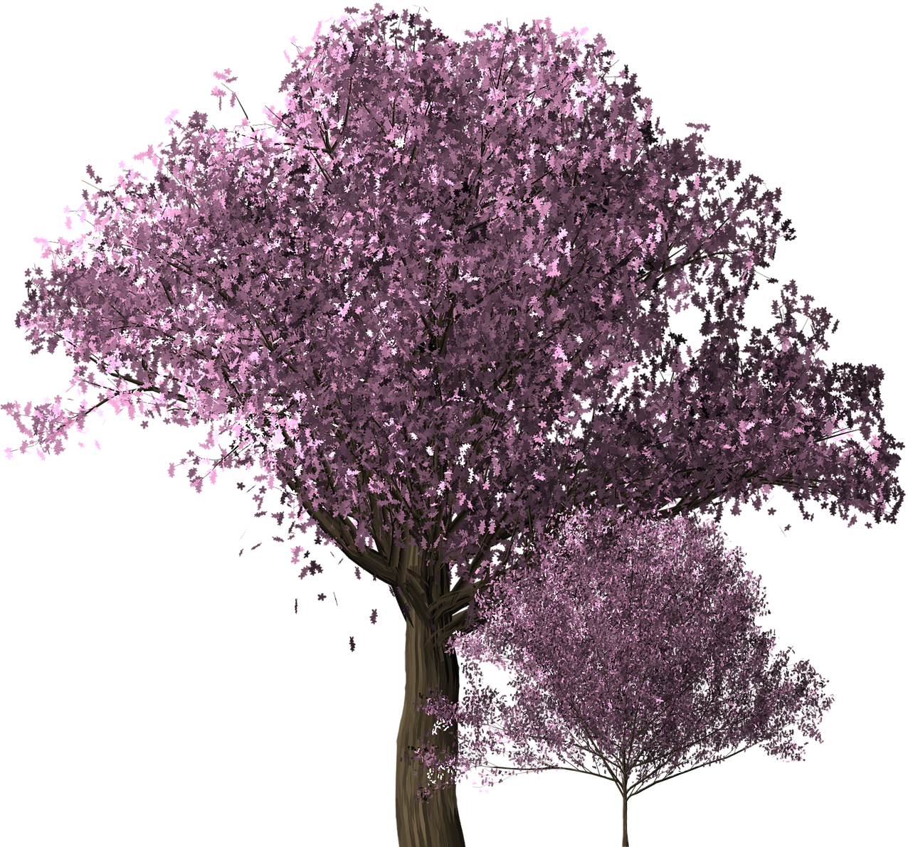 Vibrant_ Cherry_ Blossom_ Tree_ Render