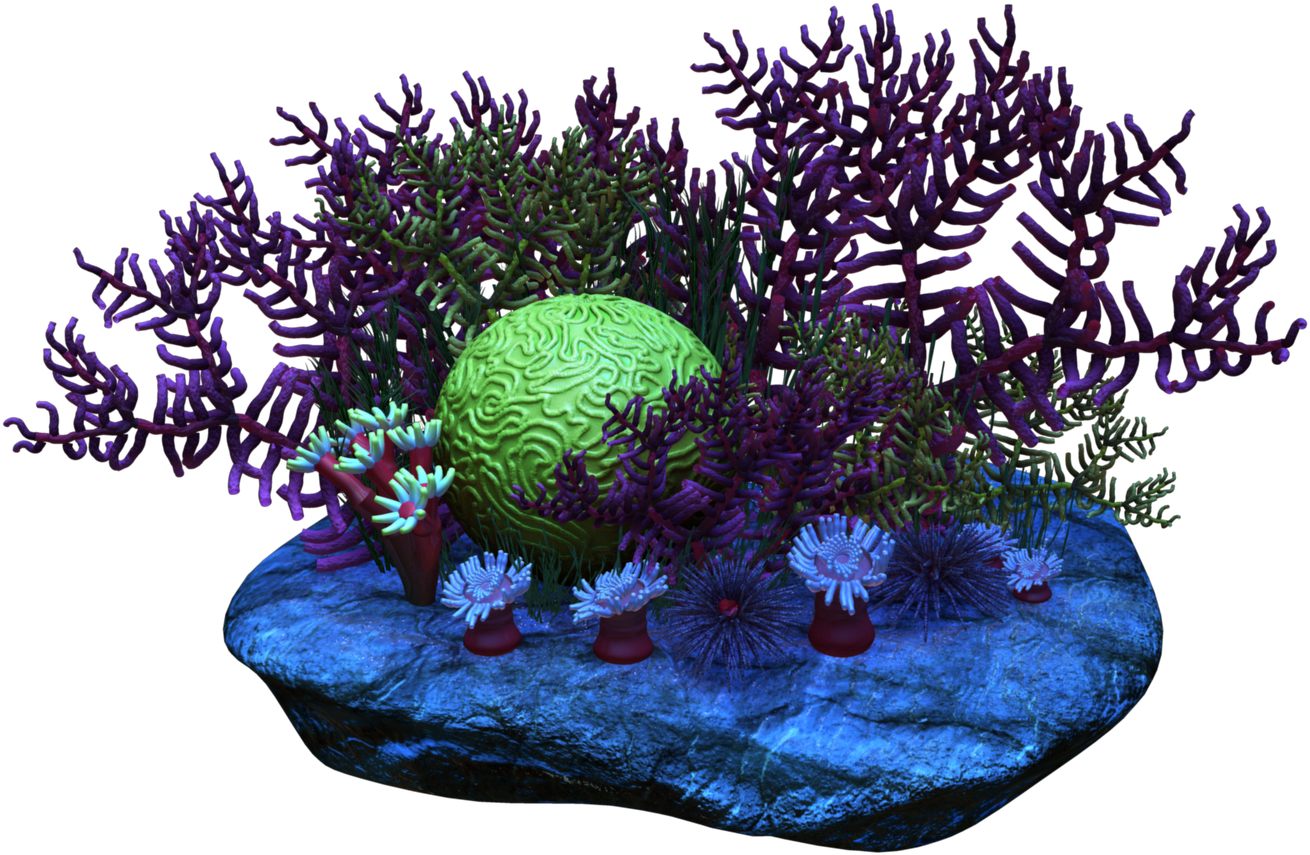 Vibrant Coral Reef3 D Render